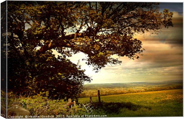 Blagdon Top  Field. Canvas Print by Heather Goodwin