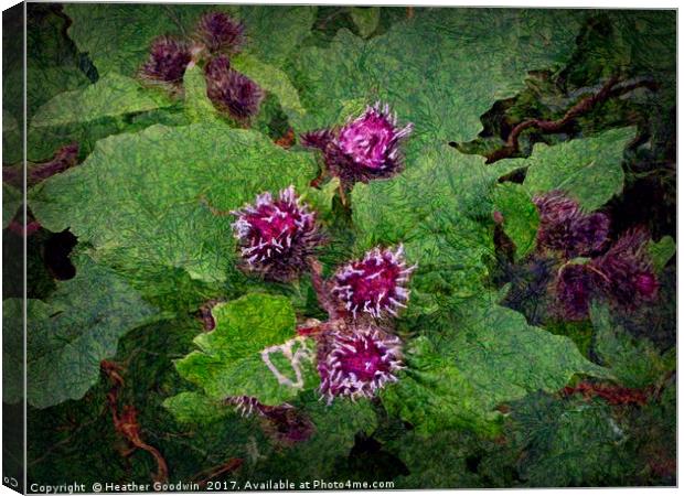 Wild Thistle Canvas Print by Heather Goodwin