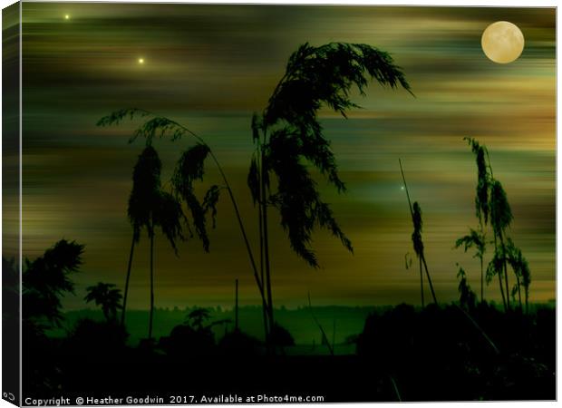Yellow Moon. Canvas Print by Heather Goodwin