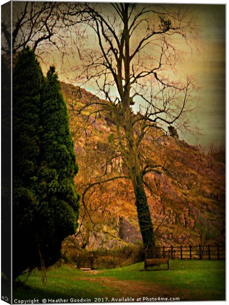 Burrington Combe, Somerset. Canvas Print by Heather Goodwin