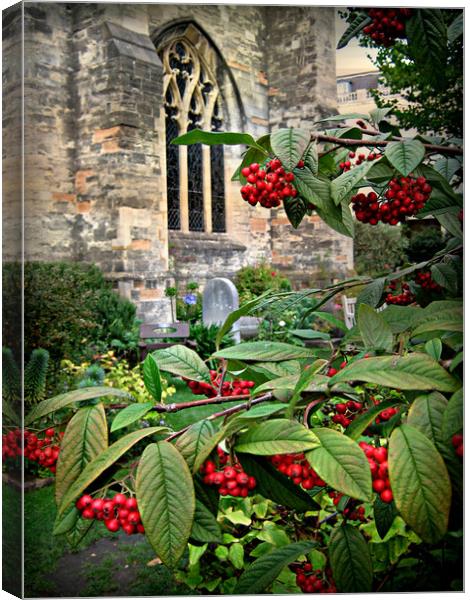 Bristol Cathedral Garden Canvas Print by Heather Goodwin