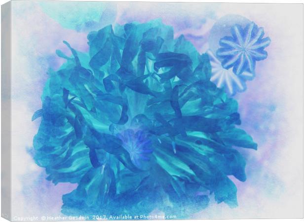 Blue Peony Canvas Print by Heather Goodwin