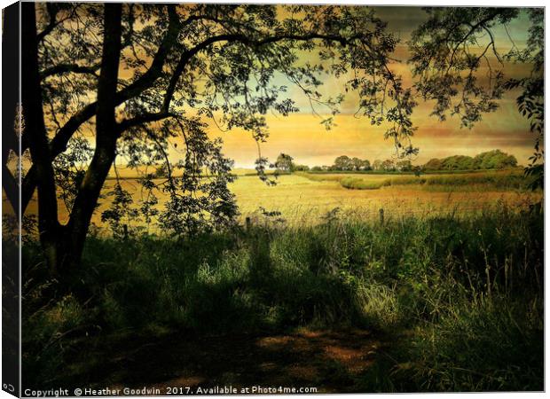 Walk Across the Fields. Canvas Print by Heather Goodwin