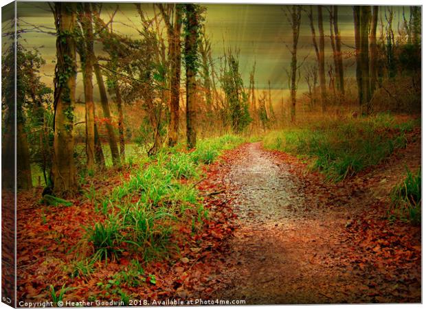 Just Walking In the Rain Canvas Print by Heather Goodwin