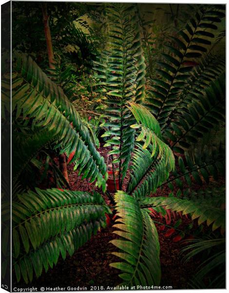 Tropical Leaves Canvas Print by Heather Goodwin