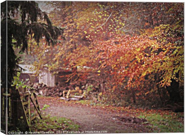 The Old Back Gate Canvas Print by Heather Goodwin