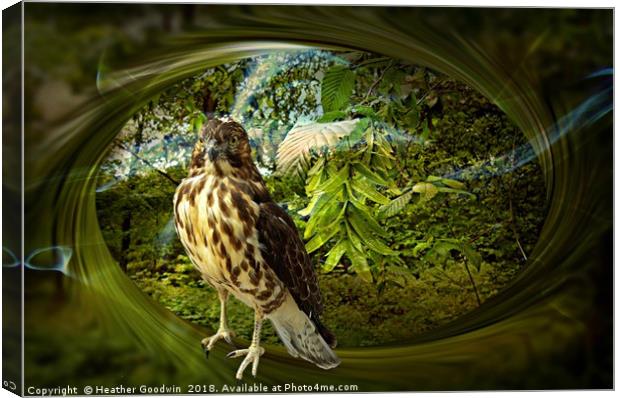 Falcon'sHaunt Canvas Print by Heather Goodwin