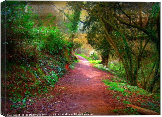 Valley Path Canvas Print by Heather Goodwin