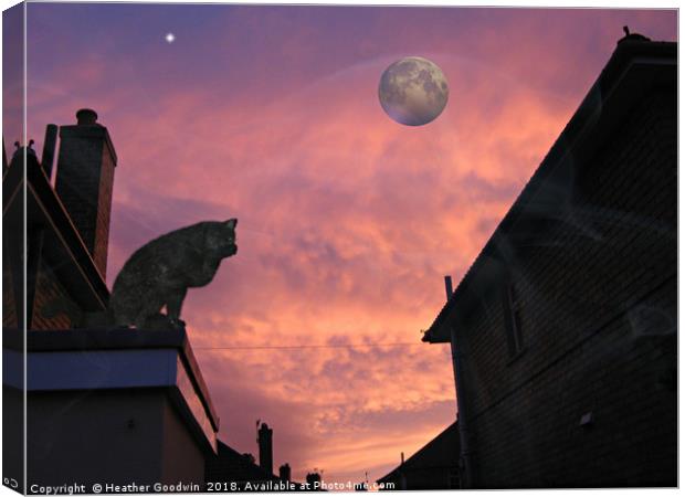 Cat on the Tiles Canvas Print by Heather Goodwin