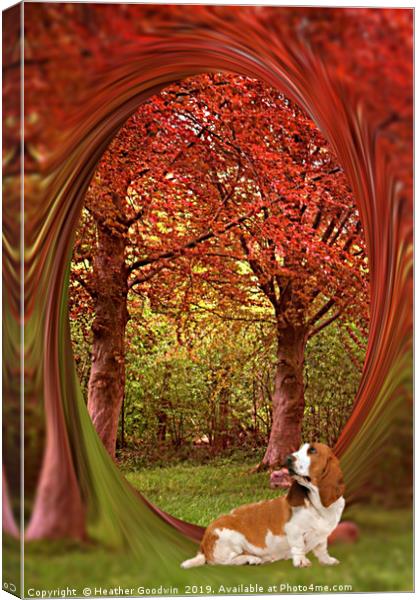 Colour me Autumn Canvas Print by Heather Goodwin
