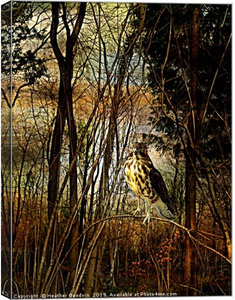 Tangle Wood Canvas Print by Heather Goodwin
