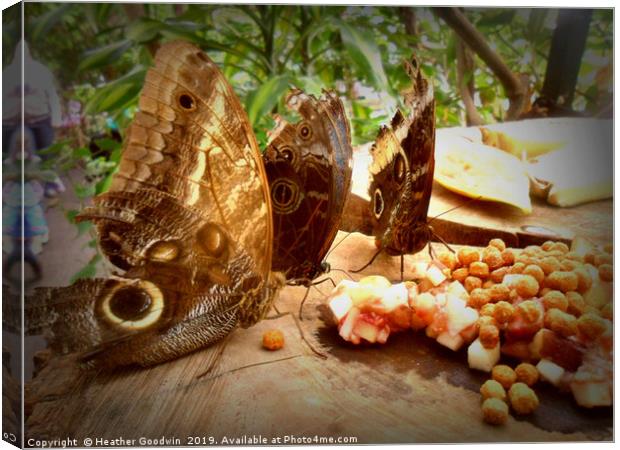 Butterfly Picnic Canvas Print by Heather Goodwin