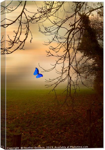 Blue on a Misty Morning Canvas Print by Heather Goodwin