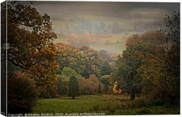 The Arboretum Canvas Print by Heather Goodwin