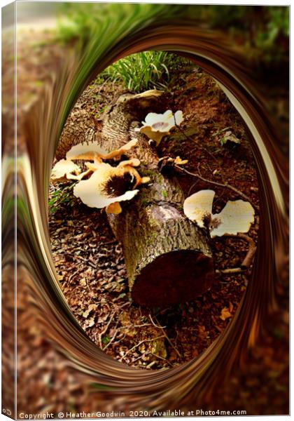 Woodland Fungi Canvas Print by Heather Goodwin