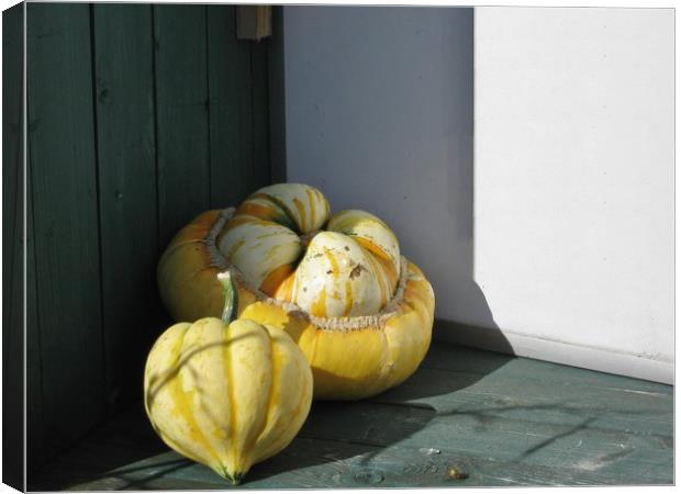 Glorious Gourds Canvas Print by Heather Goodwin
