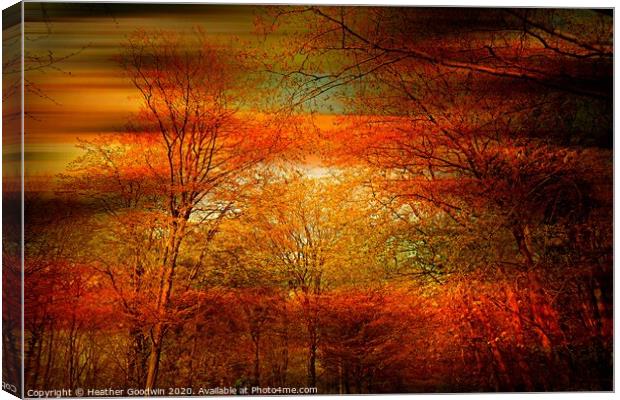 Evening  Fire Canvas Print by Heather Goodwin