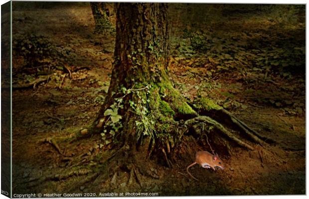 Roots Canvas Print by Heather Goodwin