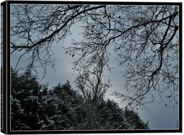 Snowy weather in the west country. Canvas Print by Heather Goodwin