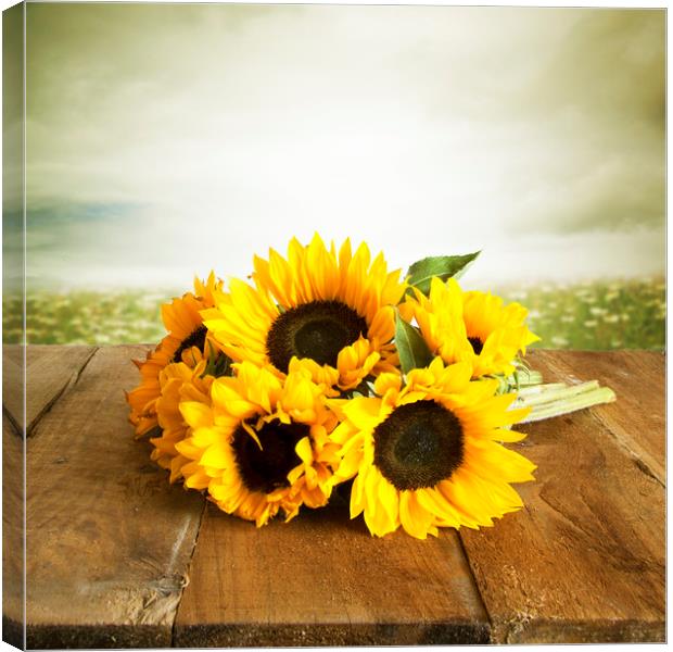Sunflowers On A Wooden Table Canvas Print by Lynne Davies
