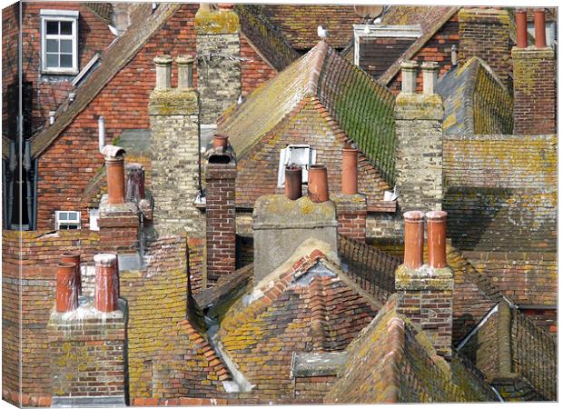 Rooftops Canvas Print by susan potter