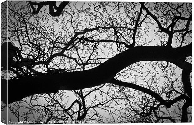 Branch Mess Canvas Print by Martyn Taylor
