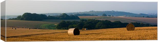 View from Chanctonbury Ring Canvas Print by Judy Andrews