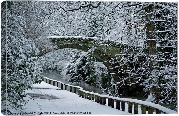 Bridge In Snow Canvas Print by David Pringle