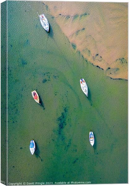 River Aln Estuary Canvas Print by David Pringle