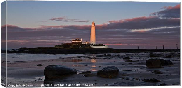 St Marys Lighthouse Sunset Canvas Print by David Pringle