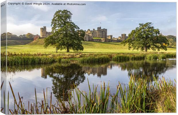 Alnwick Castle Canvas Print by David Pringle