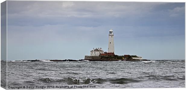 St. Marys Lighthouse Canvas Print by David Pringle