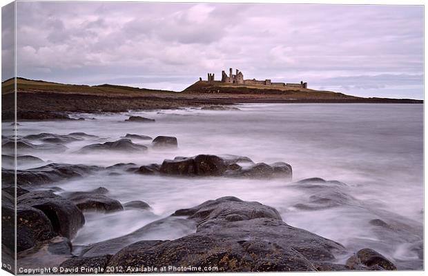 Dunstanburgh Castle Canvas Print by David Pringle