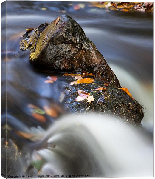 Flowing River Canvas Print by David Pringle