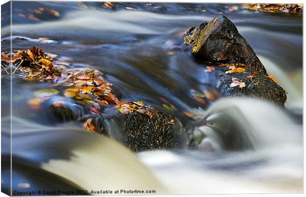 Flowing River III Canvas Print by David Pringle