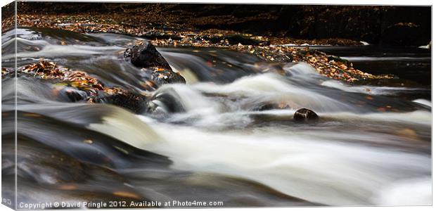 Flowing River IV Canvas Print by David Pringle