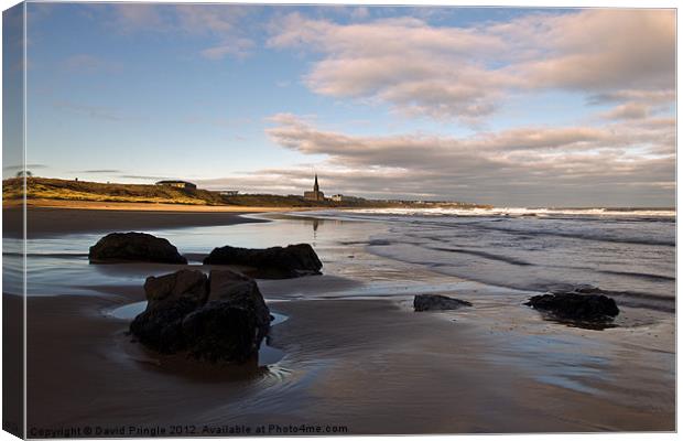 Tynemouth Longsands Canvas Print by David Pringle