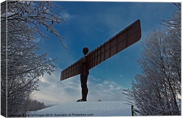 Angel in the Snow Canvas Print by David Pringle