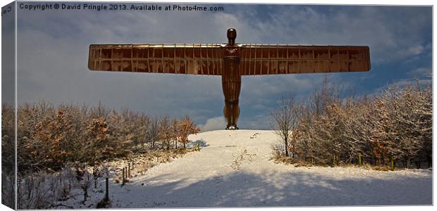 Angel in the Snow II Canvas Print by David Pringle