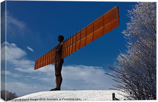 Angel in the Snow VIII Canvas Print by David Pringle