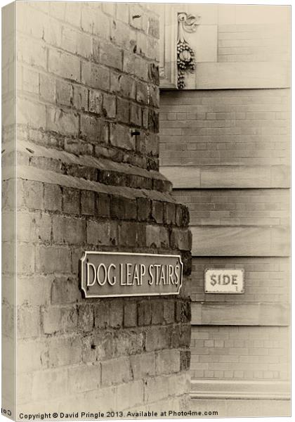 Dog Leap Stairs Canvas Print by David Pringle