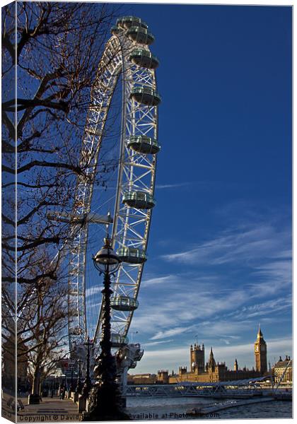 The London Eye Canvas Print by David Pringle