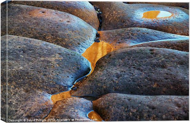 Rock Patterns III Canvas Print by David Pringle