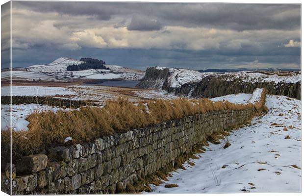 Roman Wall in Winter Canvas Print by David Pringle