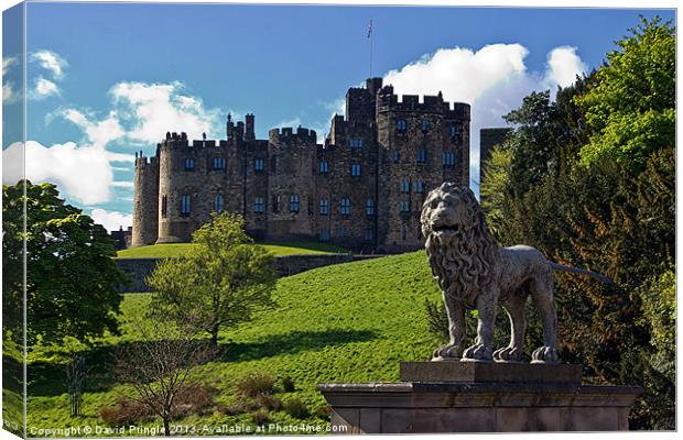 Alnwick Lion Canvas Print by David Pringle