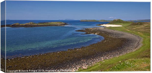 Claigan Coral Beach Canvas Print by David Pringle