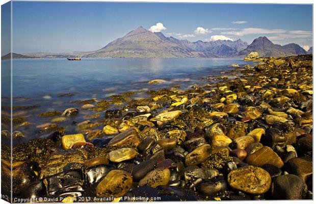 Elgol Canvas Print by David Pringle