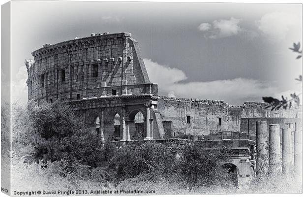 Colosseum Canvas Print by David Pringle