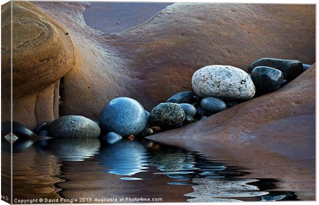 Reflected Stones Canvas Print by David Pringle