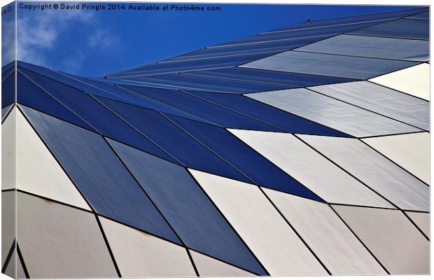 Sage Gateshead Canvas Print by David Pringle